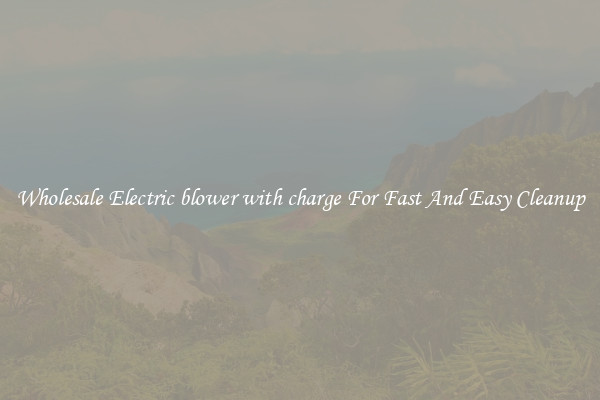 Wholesale Electric blower with charge For Fast And Easy Cleanup