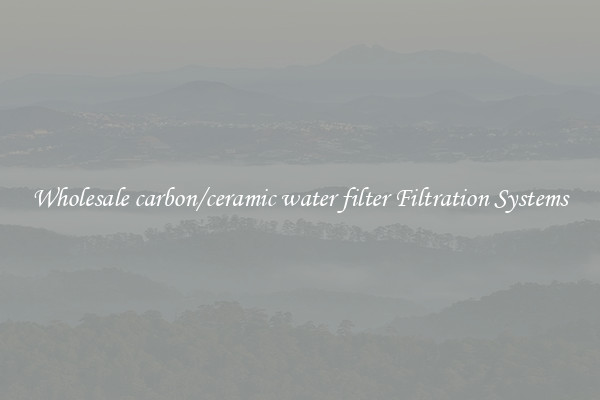 Wholesale carbon/ceramic water filter Filtration Systems
