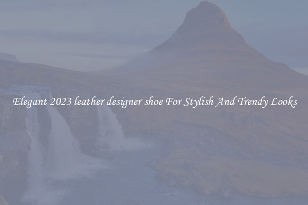 Elegant 2023 leather designer shoe For Stylish And Trendy Looks