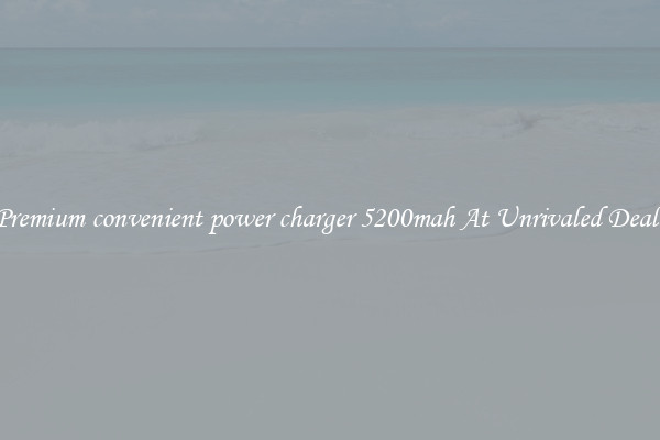 Premium convenient power charger 5200mah At Unrivaled Deals