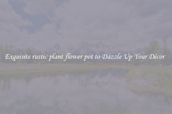 Exquisite rustic plant flower pot to Dazzle Up Your Décor  