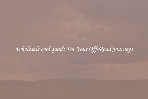 Wholesale cool quads For Your Off-Road Journeys