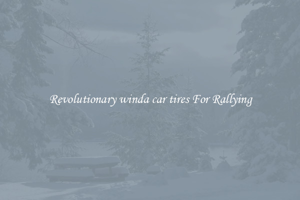 Revolutionary winda car tires For Rallying
