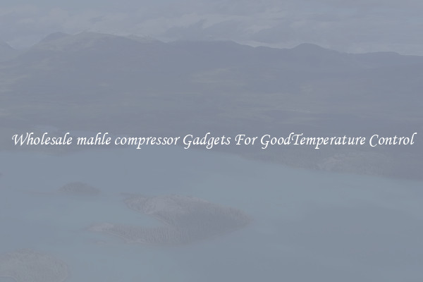 Wholesale mahle compressor Gadgets For GoodTemperature Control