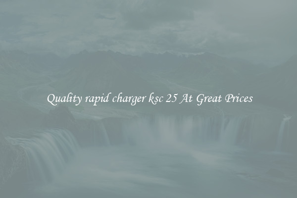 Quality rapid charger ksc 25 At Great Prices