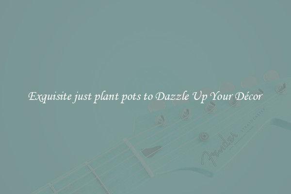 Exquisite just plant pots to Dazzle Up Your Décor 