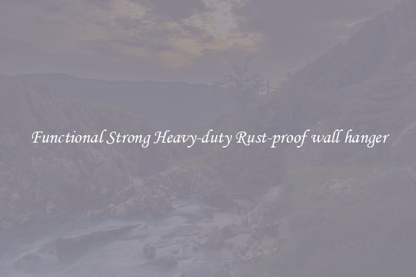 Functional Strong Heavy-duty Rust-proof wall hanger