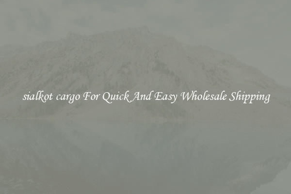 sialkot cargo For Quick And Easy Wholesale Shipping