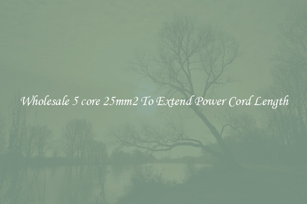 Wholesale 5 core 25mm2 To Extend Power Cord Length