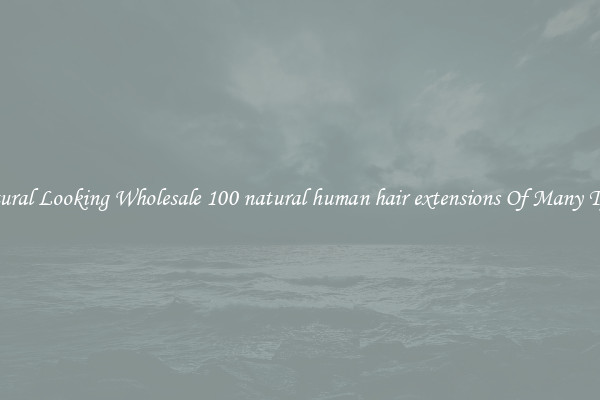 Natural Looking Wholesale 100 natural human hair extensions Of Many Types