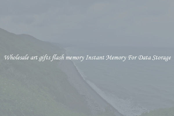 Wholesale art gifts flash memory Instant Memory For Data Storage