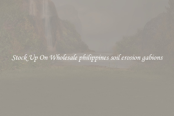 Stock Up On Wholesale philippines soil erosion gabions