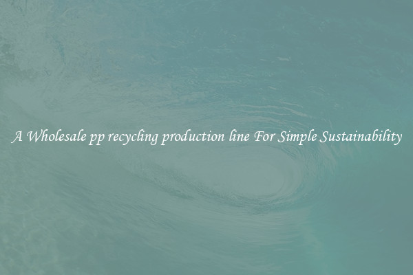  A Wholesale pp recycling production line For Simple Sustainability 
