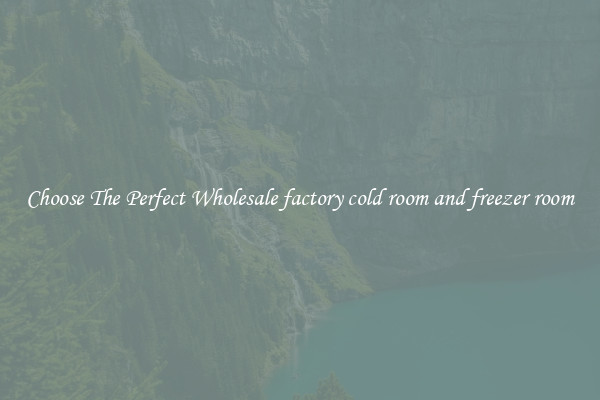 Choose The Perfect Wholesale factory cold room and freezer room