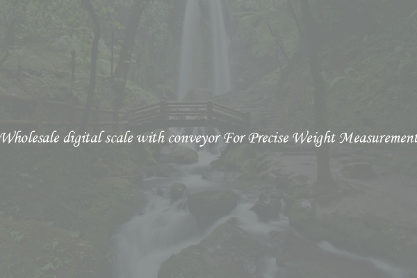 Wholesale digital scale with conveyor For Precise Weight Measurement