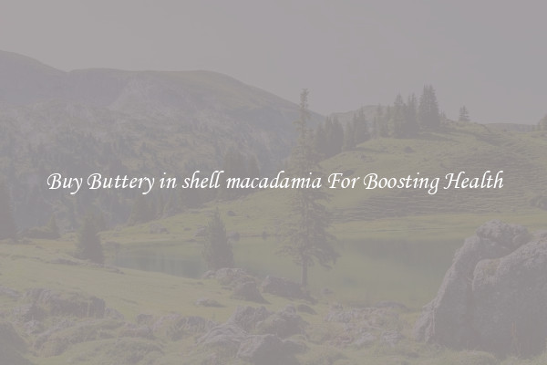 Buy Buttery in shell macadamia For Boosting Health